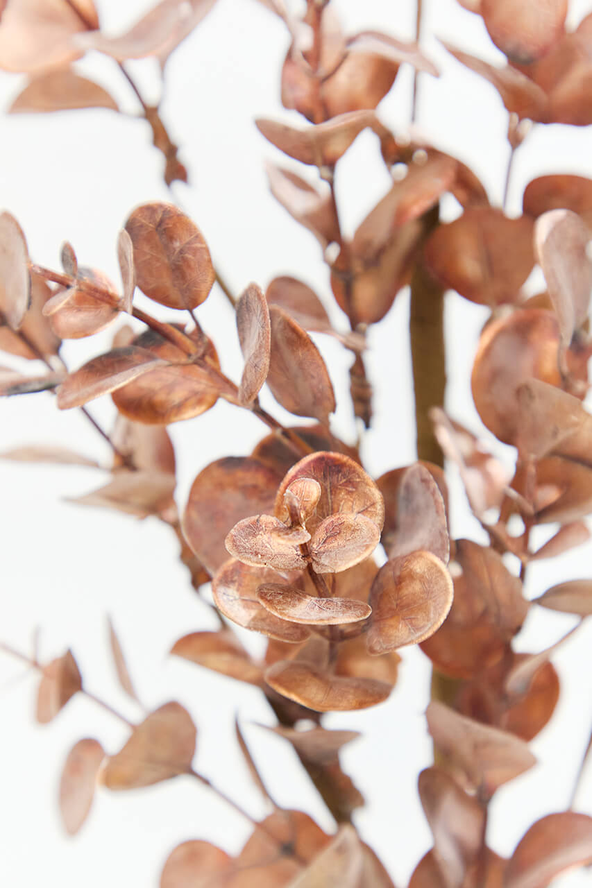 24" Warm Copper Eucalyptus Spray