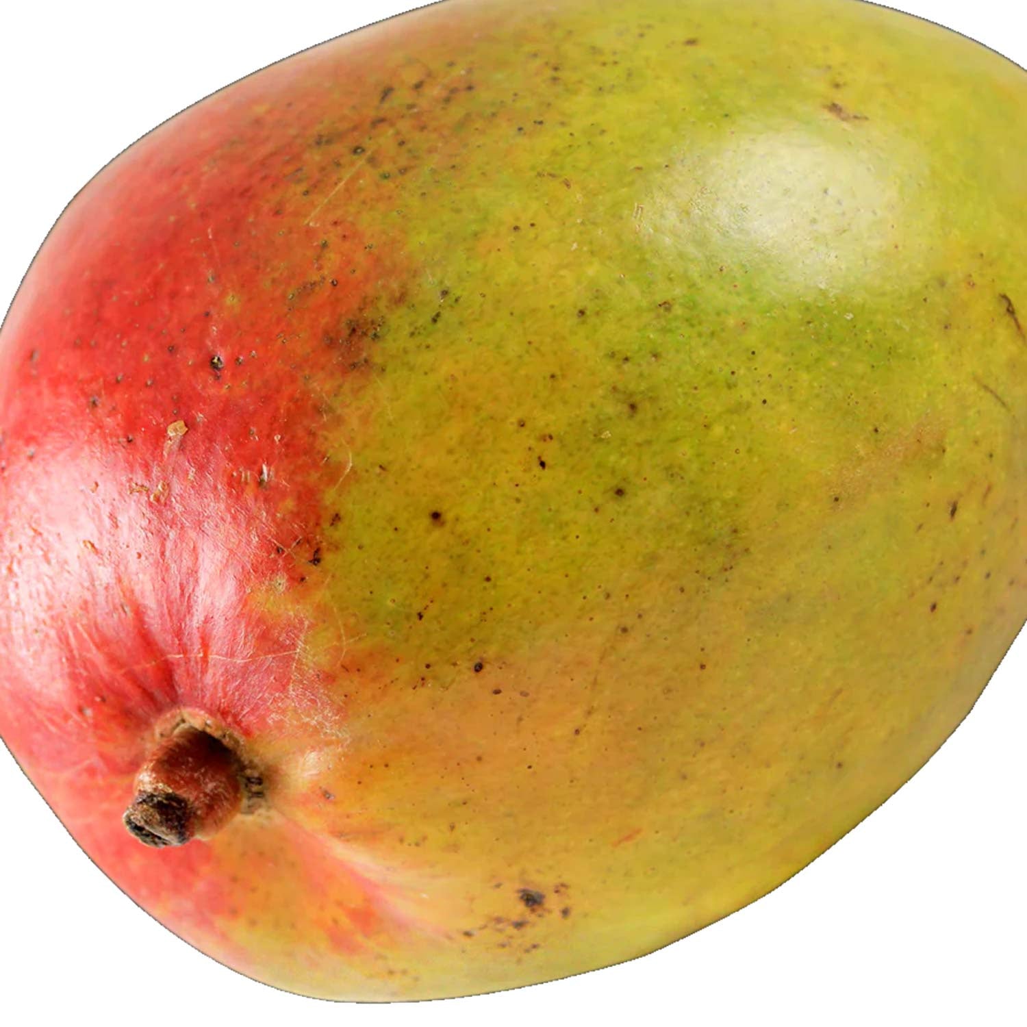 Trader Joe’s Mango 1 Each