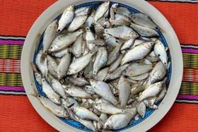Deshi Puti Fish (Block) small