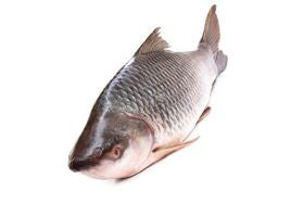 Rohu Fish (Block)