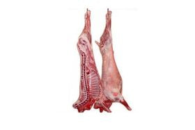 Halal Goat Front Leg Back Leg per lb