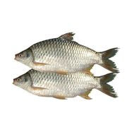 Shorputi Fish 2 lb
