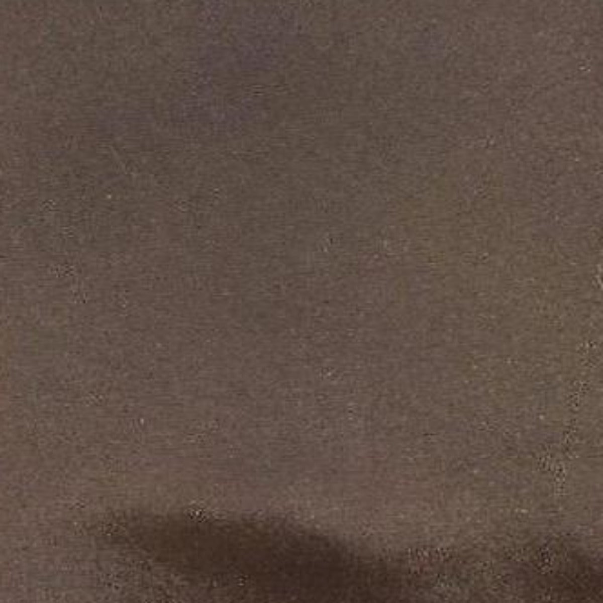 Polyester Taffeta Lining Fabric 60" Light Reflective