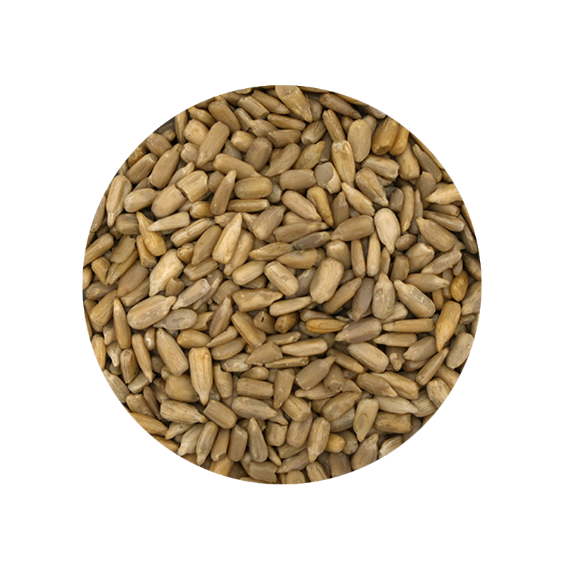 Raw Sunflower Kernels 1 Pound