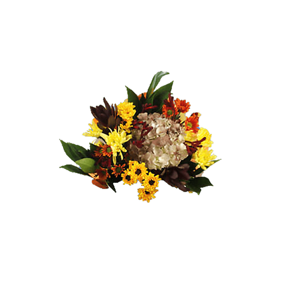 Equinox Fresh Flower Bouquet Seasonal Floral Arrangement Pack