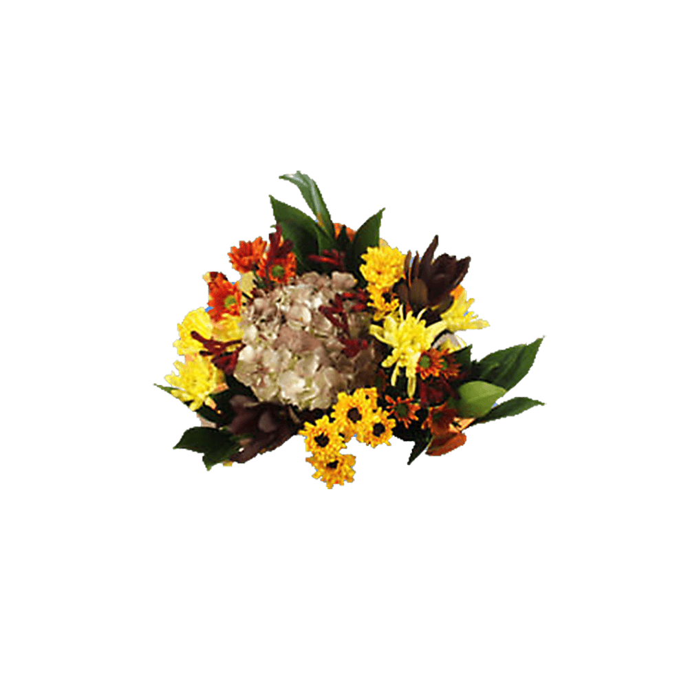 Equinox Fresh Flower Bouquet Seasonal Floral Arrangement Pack
