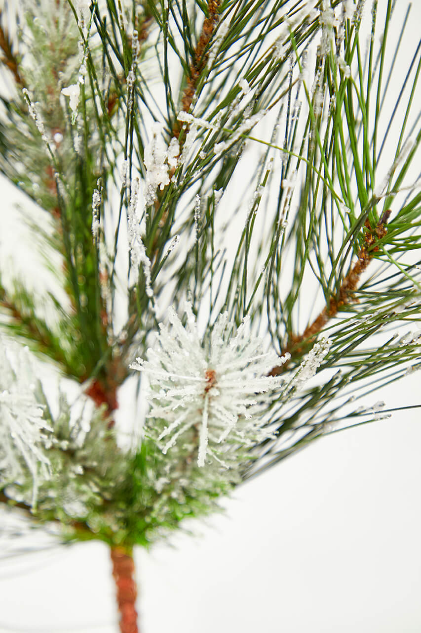 24" Christmas Flocked Pine Spray