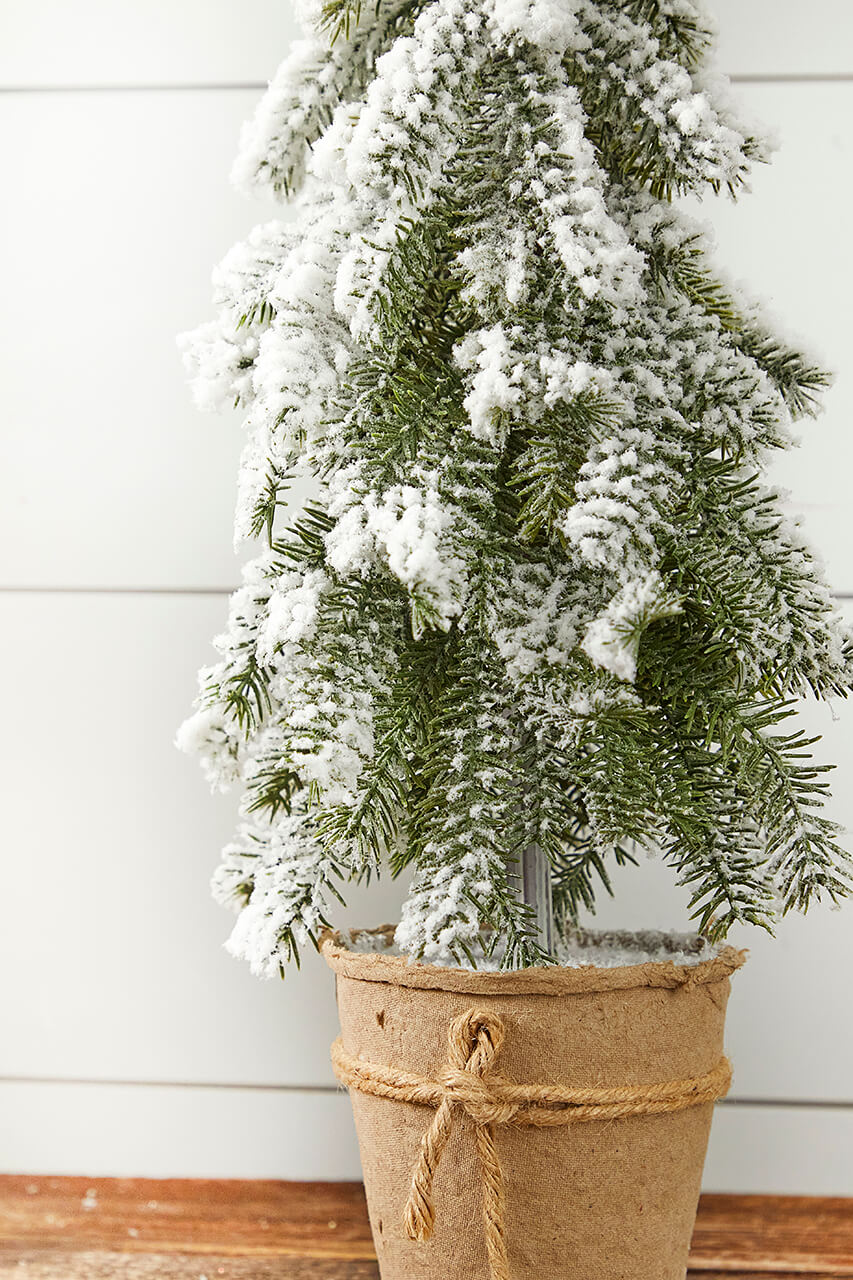 18” Frosted Downswept Pine In Burlap Pot