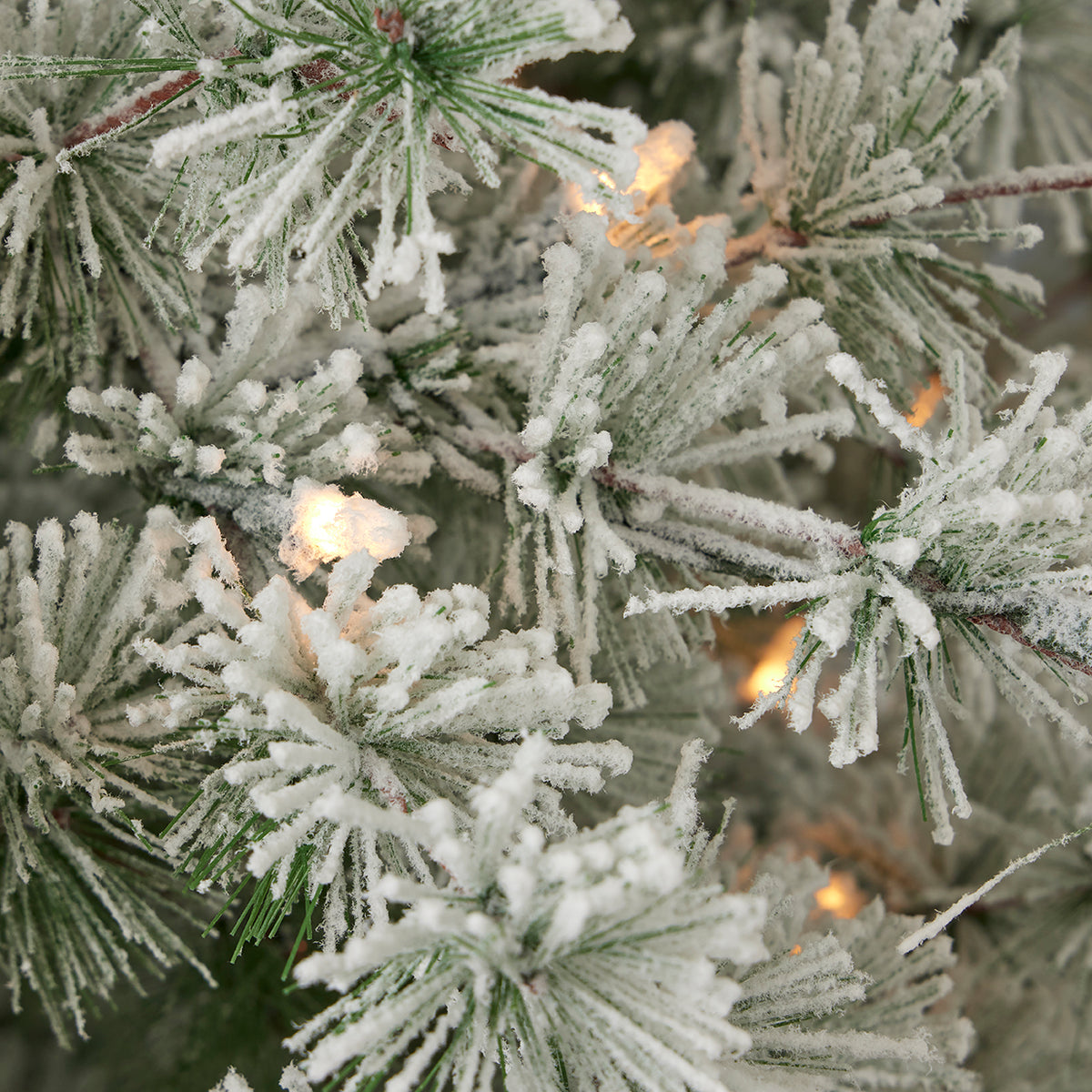 6.5' Flocked Winter Fir Tree with 250 Warm White LED Lights