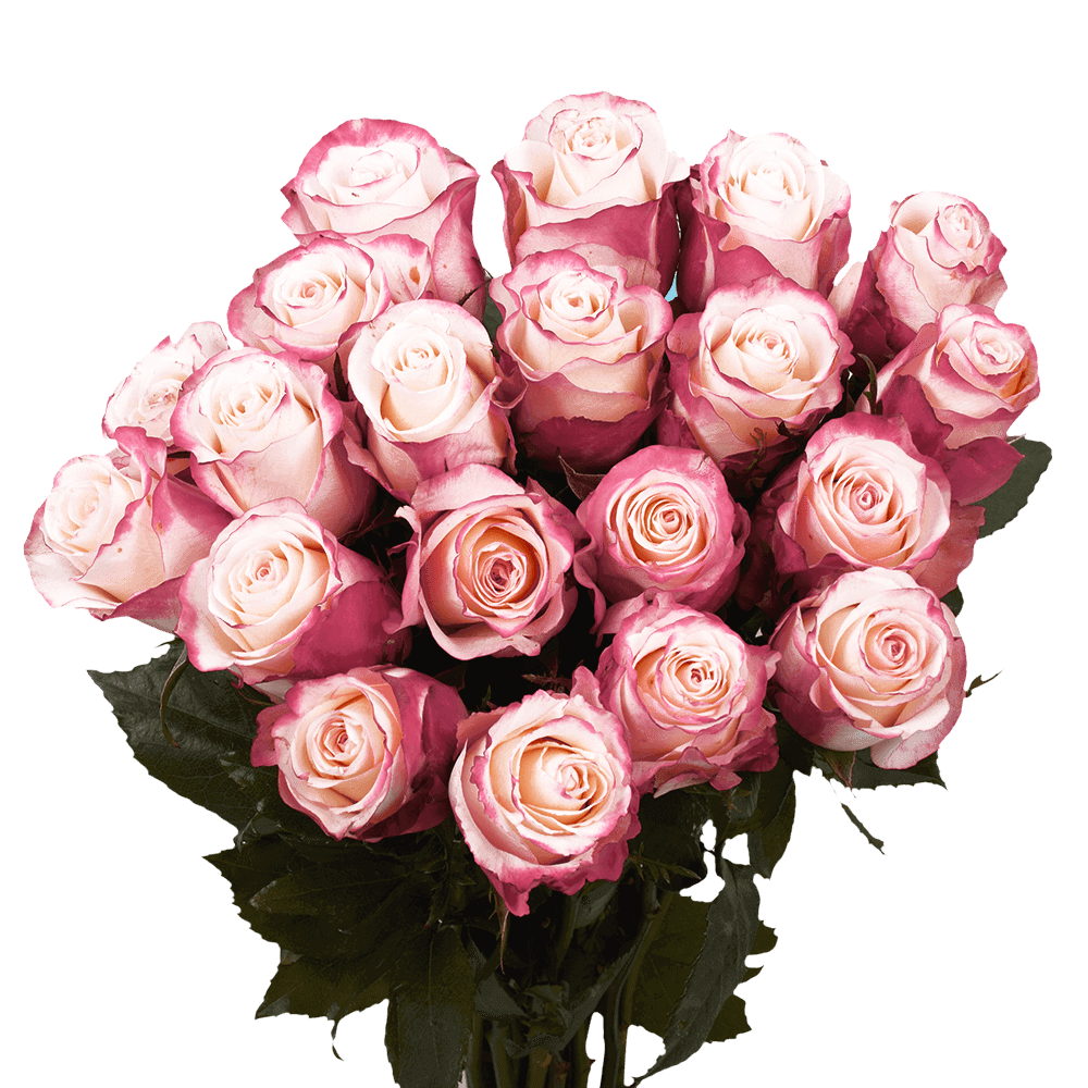 Spectacular Rose & Lily Fresh Flower Bouquet Arrangement
