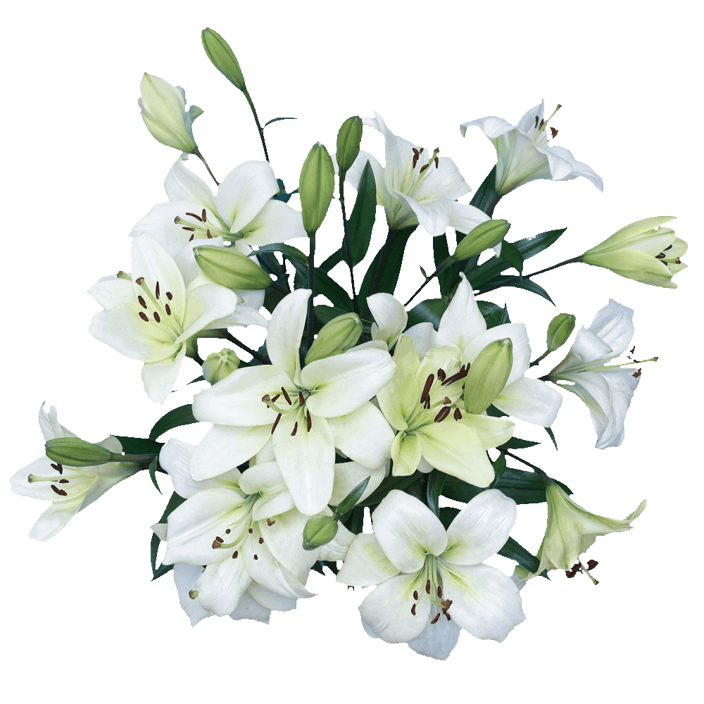 Spectacular Rose & Lily Fresh Flower Bouquet Arrangement