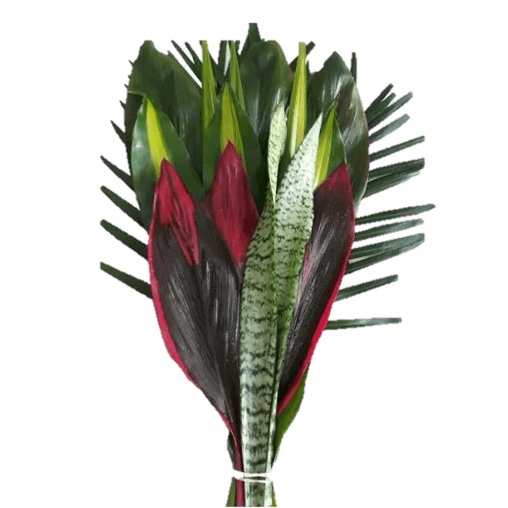 Reina Foliage Bouquet Fresh Greenery Arrangement