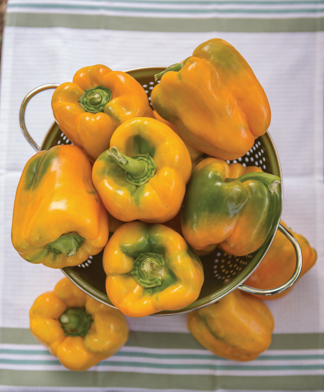 Gold Bell Peppers