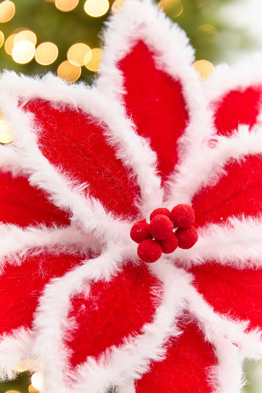20" x 12" Red & White Fur Edge Poinsettia Stem