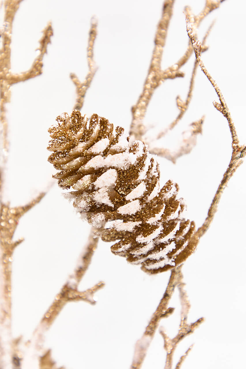 36" Snowy Golden Pinecone Spray