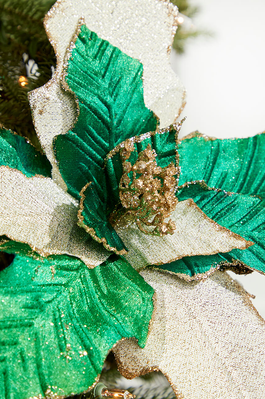 19" x 12" Green Champagne Poinsettia Stem