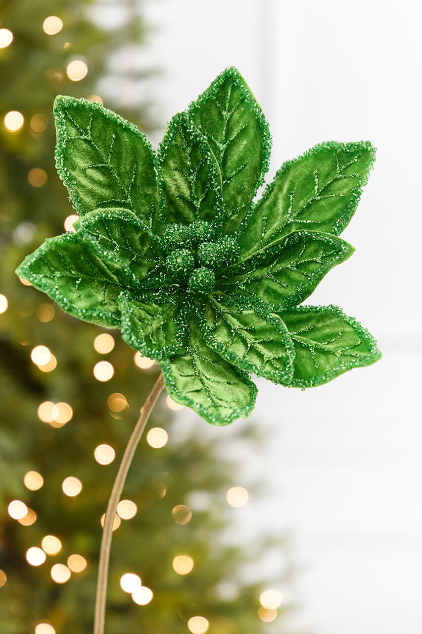 20" x 9.5" Bright Green Poinsettia Stem