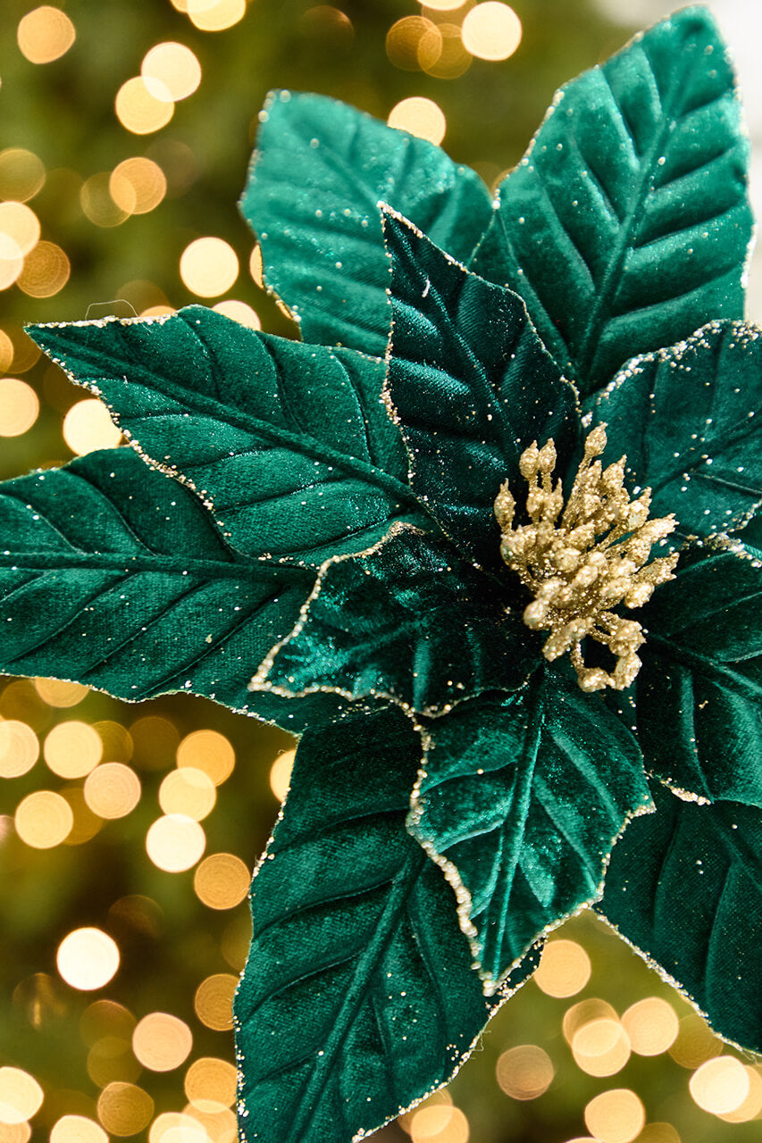 22" x 12” Velvet Emerald Poinsettia Stem