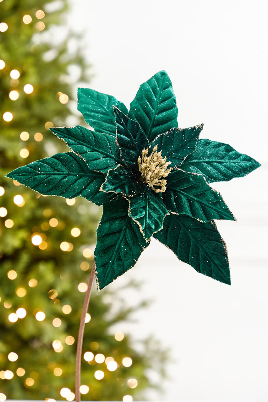 22" x 12” Velvet Emerald Poinsettia Stem