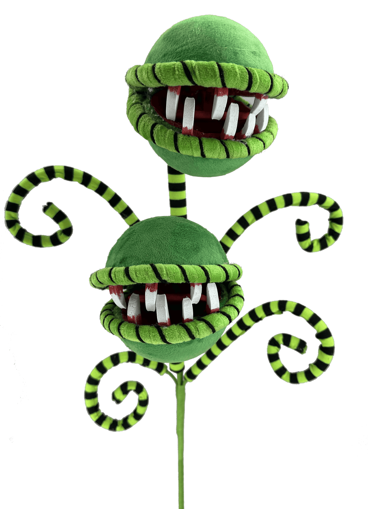 26" Carnivorous Plant Curly Spray