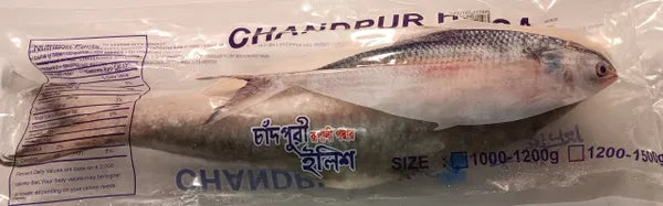 Hilsha - BD (large) - approximate 3 lb