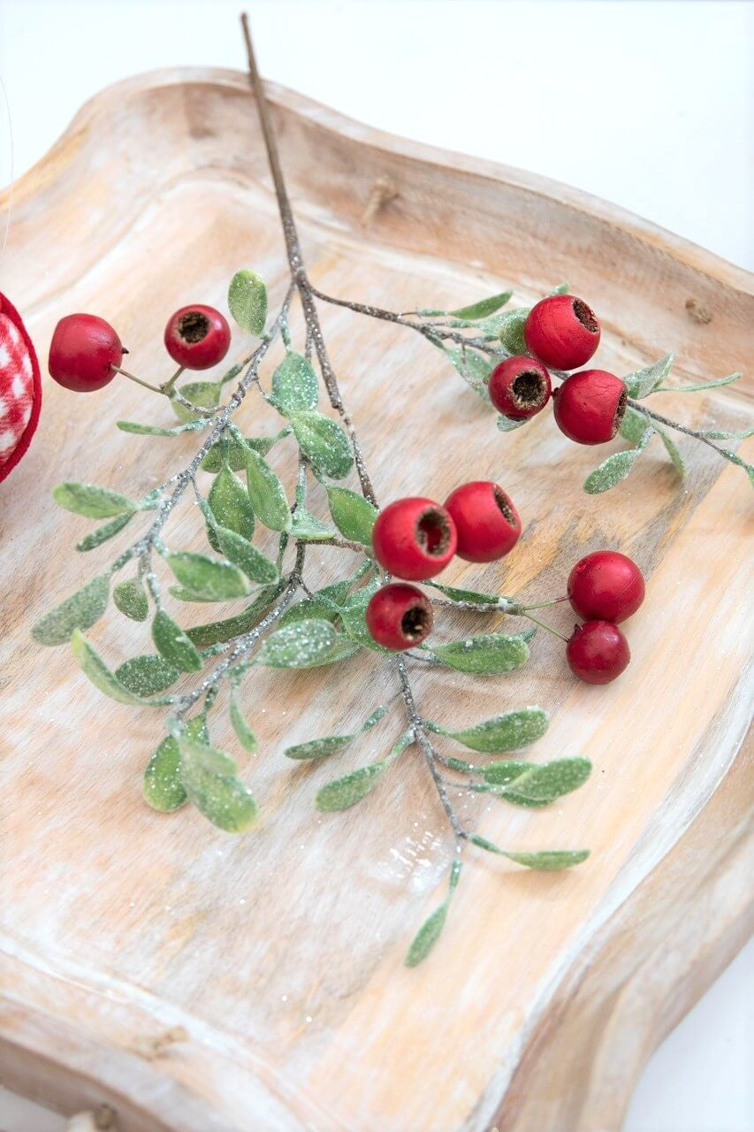 20” Pod Leaf Frosted Christmas Spray