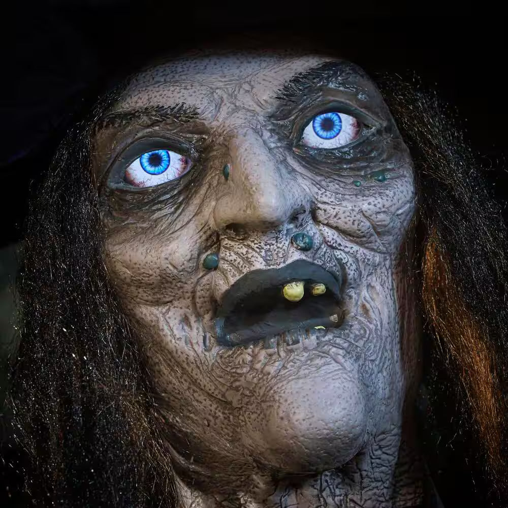 Animated LED Nightshade Witch Halloween Decoration with LifeEyes LCD Eyes 6 Feet