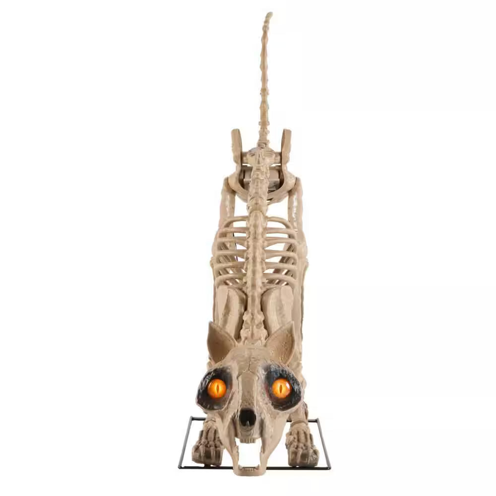 Grave and Bones LED Skellys Cat Halloween Decoration 5 Feet