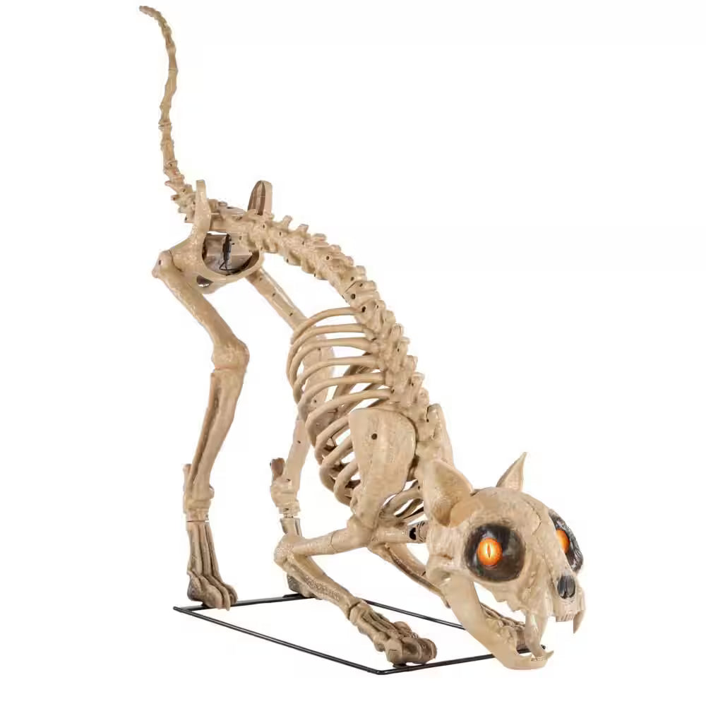 Grave and Bones LED Skellys Cat Halloween Decoration 5 Feet