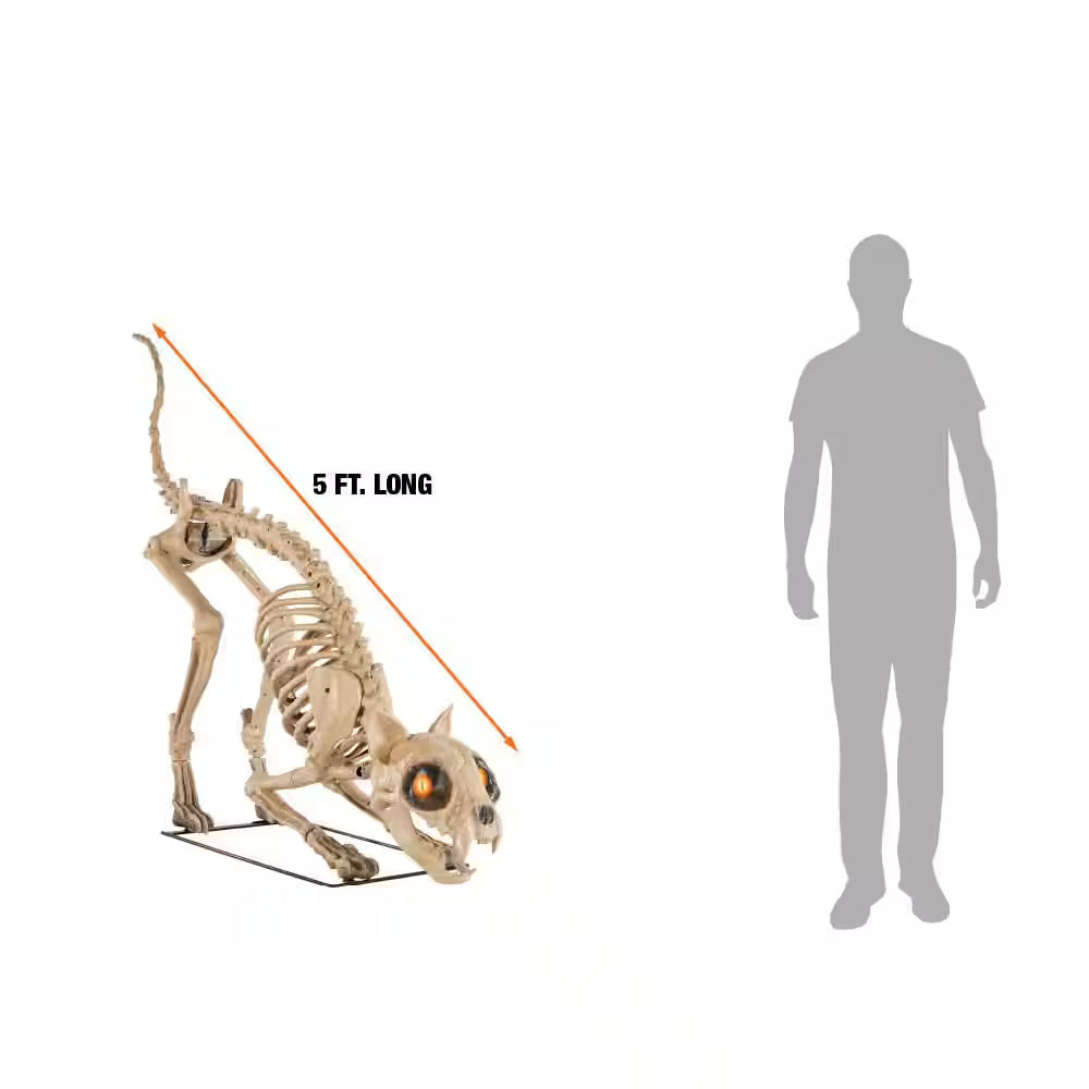 5-ft Long Grave and Bones LED Skellys Cat Halloween Decoration