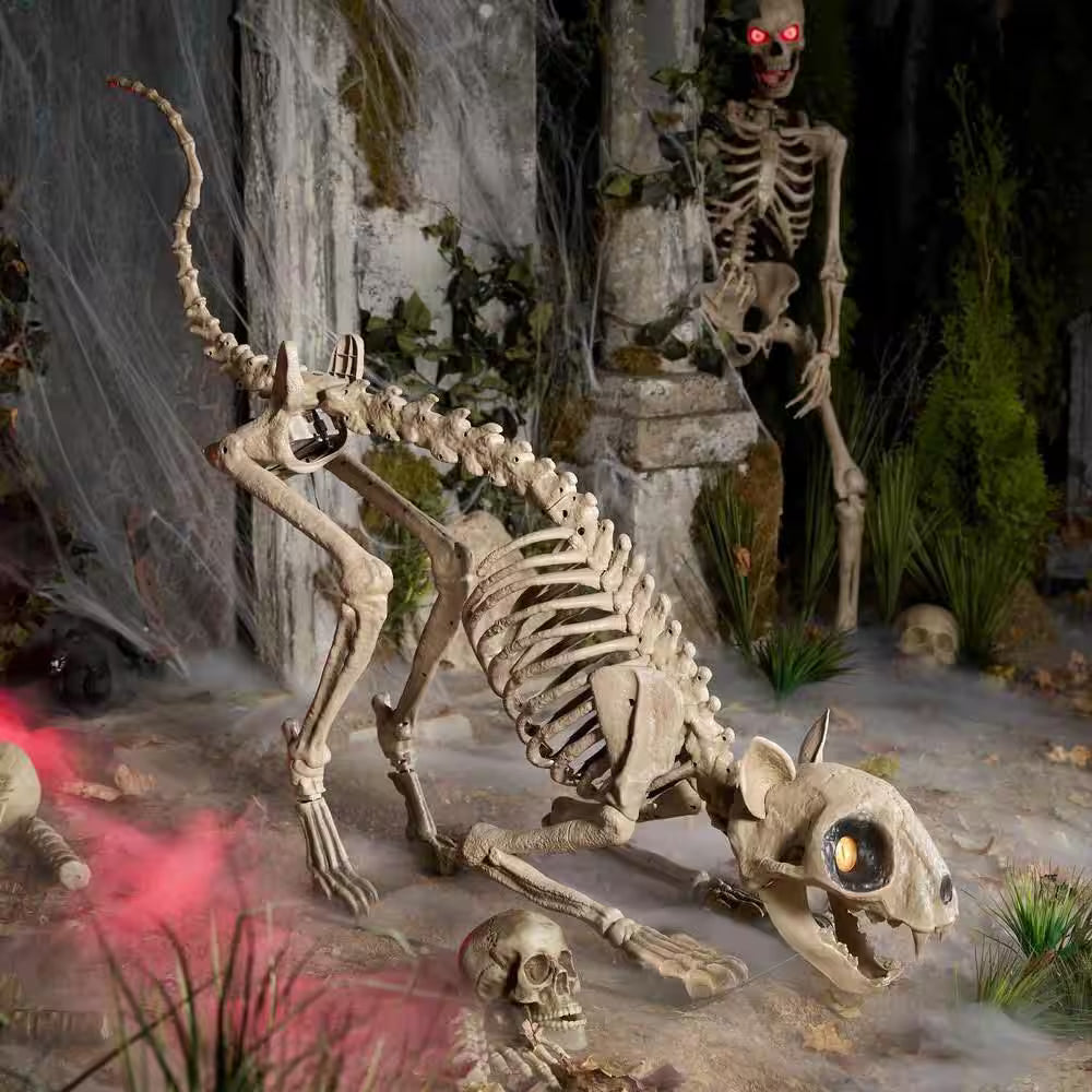 5-ft Long Grave and Bones LED Skellys Cat Halloween Decoration