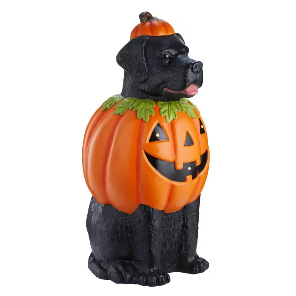 Battery Operated Halloween Classics LED Labrador in Pumpkin Costume Porch Greeter