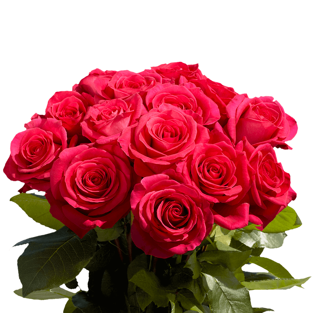 Deluxe Rose & Lily Fresh Flower Bouquet for Gifts & Decor