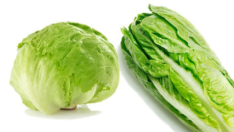 Lettuce: Iceberg
