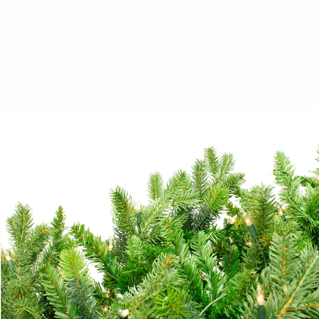6 ft. Pre-Lit Tapered Salem Pine Christmas Tree with Warm White Lights
