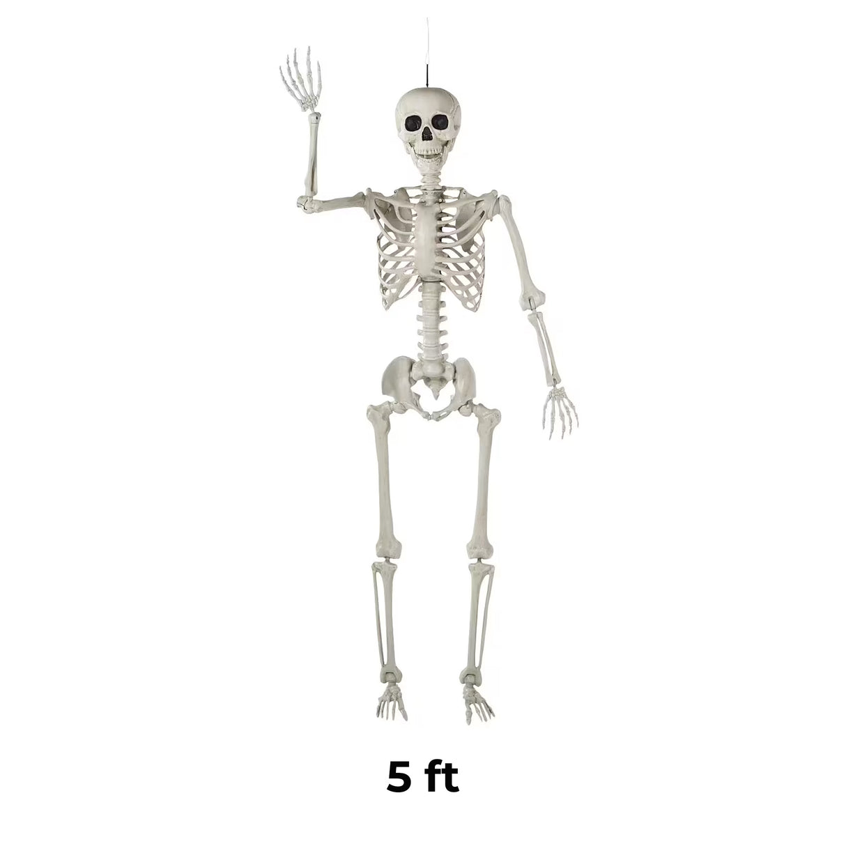 5 ft Life-Size Posable Plastic Skeleton Halloween Decoration