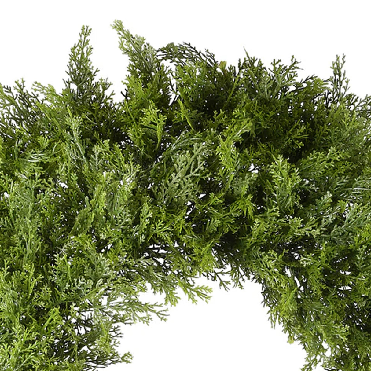 24 in. Arborvitae Artificial Green Wreath, Unlit Lifelike Evergreen Holiday Door & Wall Decoration