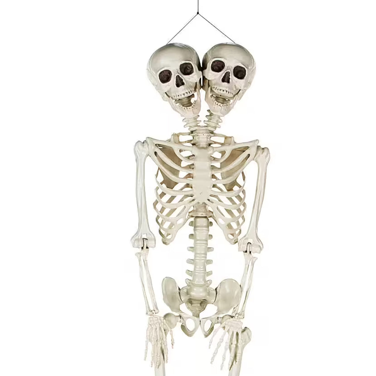 5 ft Two-Headed Life-Size Posable Skeleton Halloween Decoration