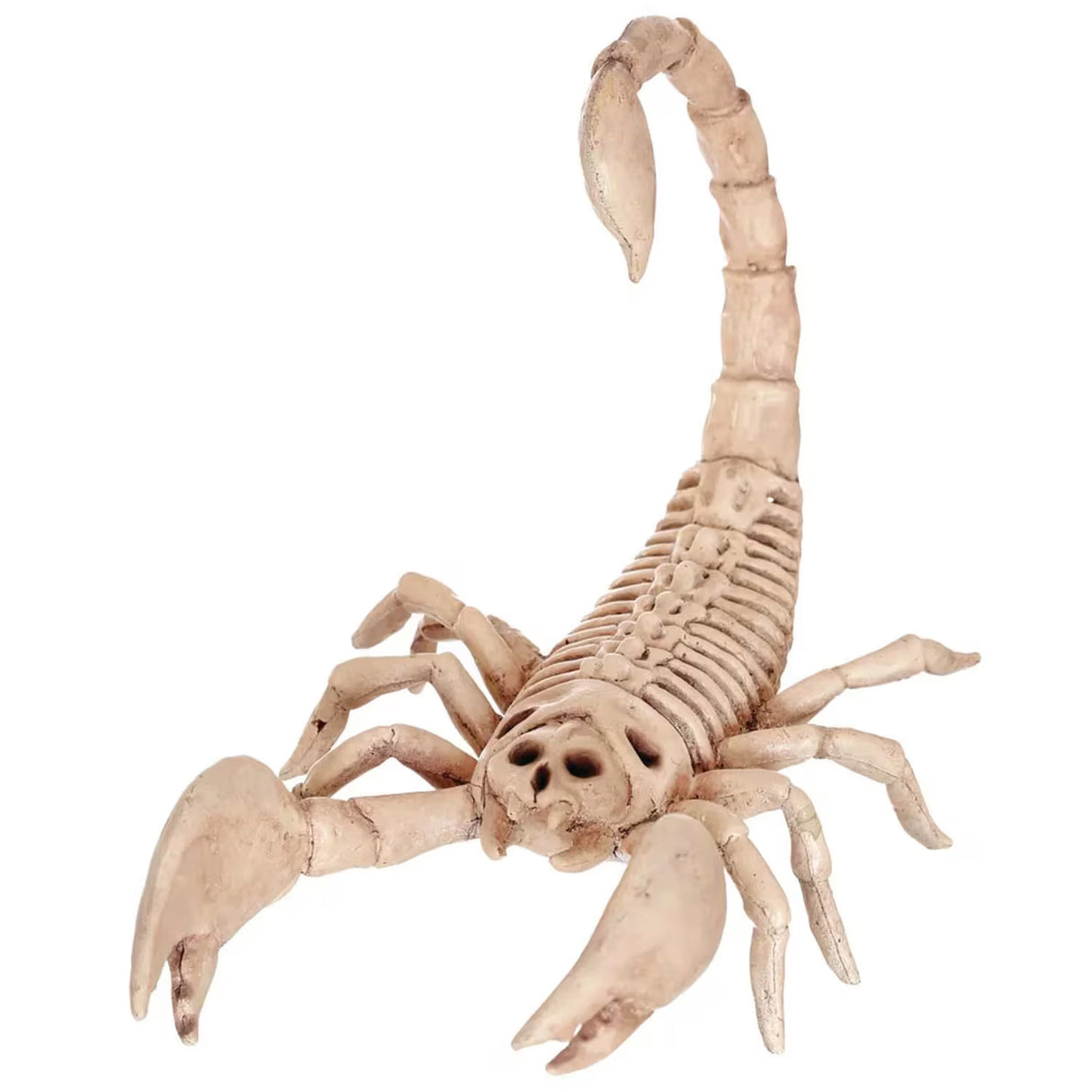 9" Scorpion Skeleton Halloween Decoration (Plastic Creepy-Crawly Prop)