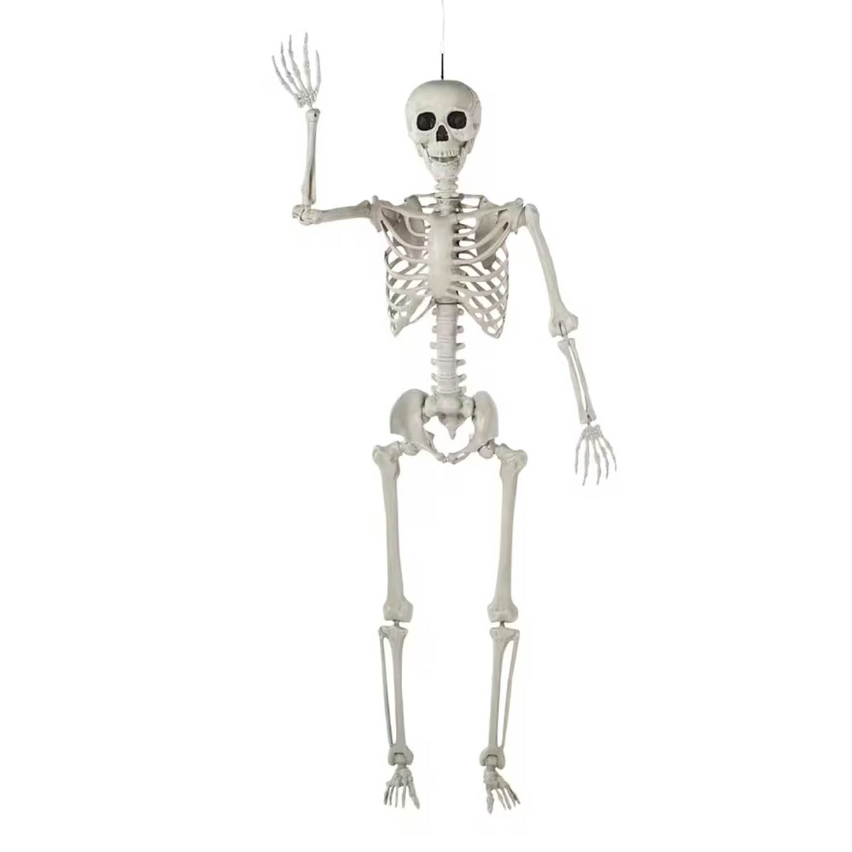 5 Ft Life-Size Posable Plastic Skeleton Halloween Decoration