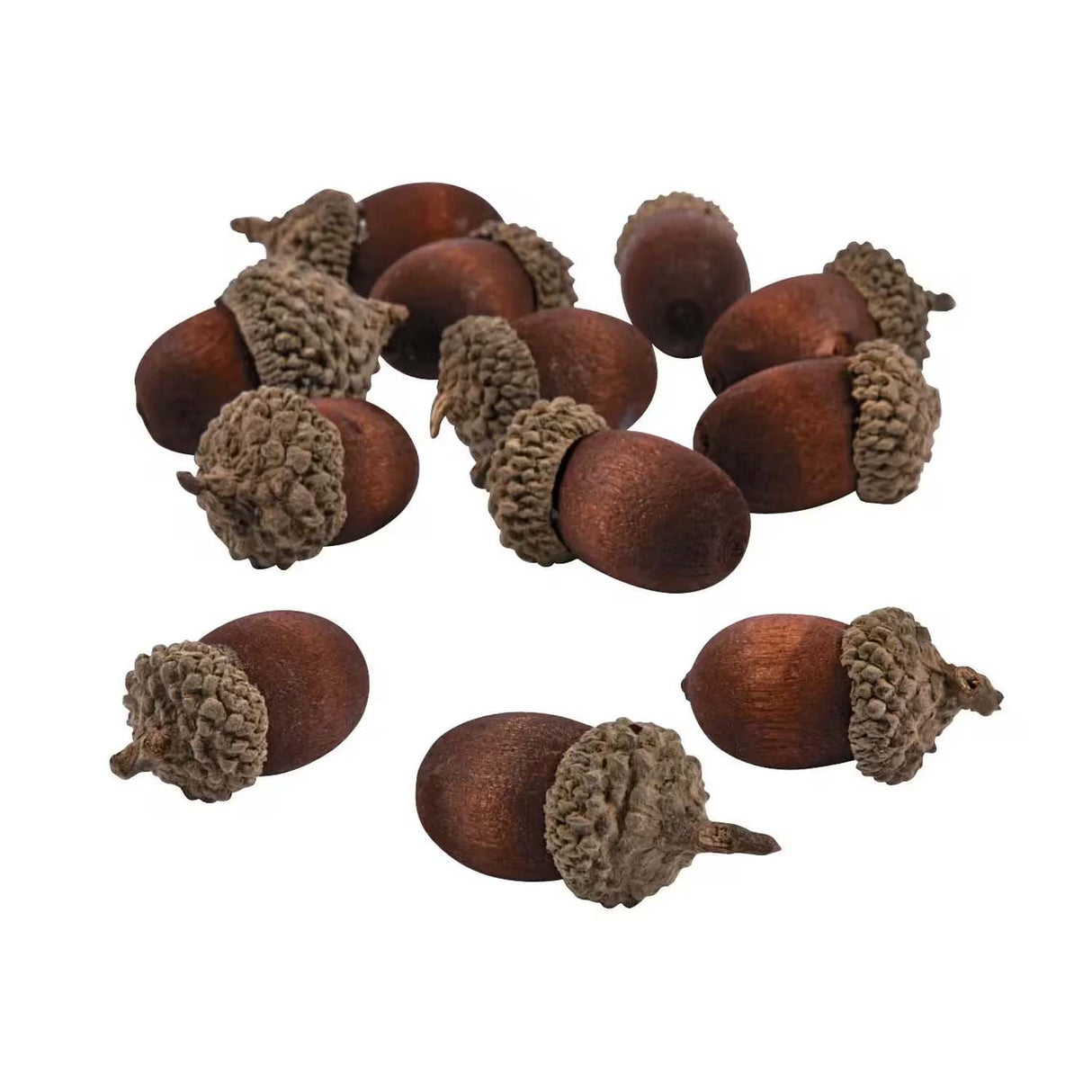 Artificial Acorns – 24 Pc Fall Craft & Autumn Decoration Set
