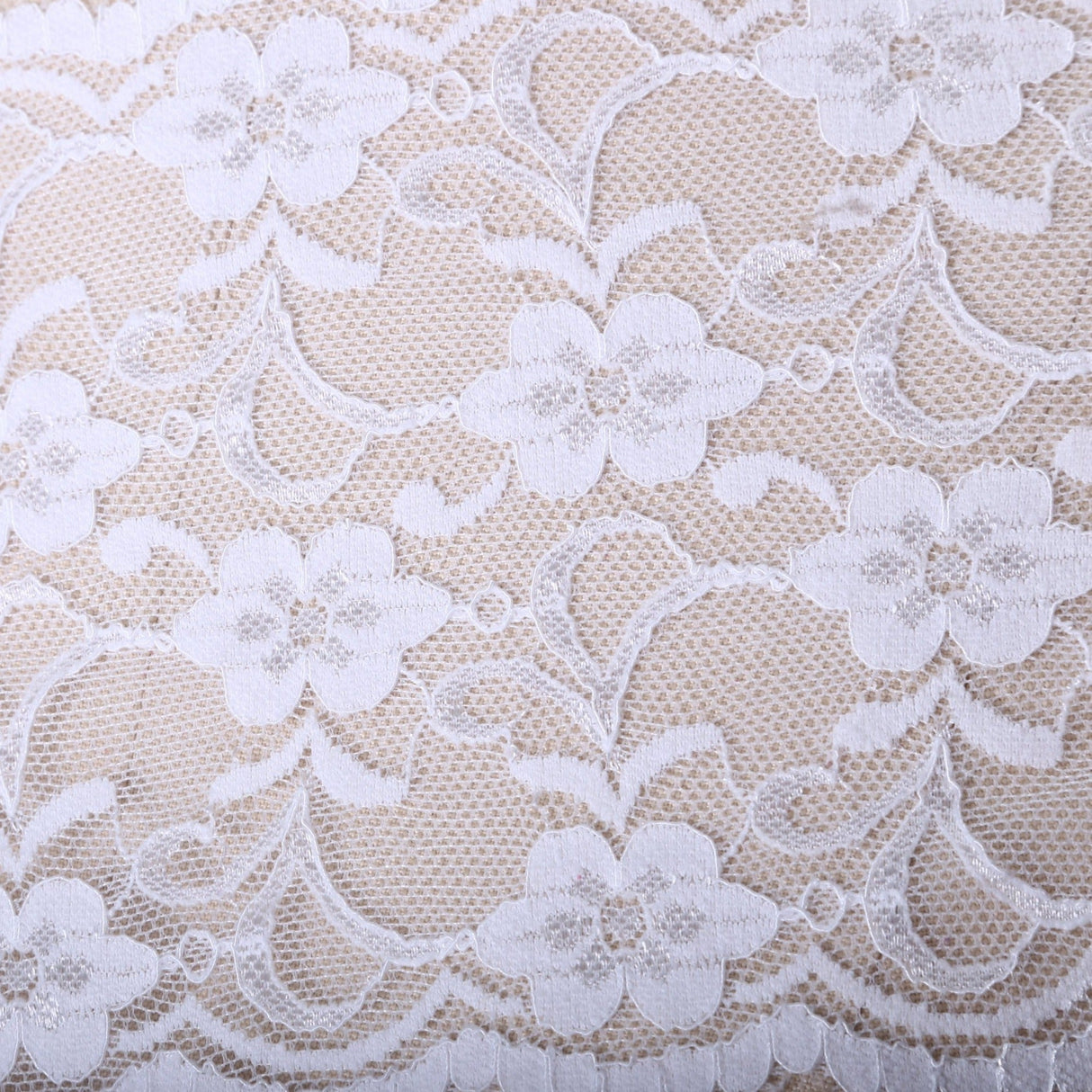 Stretch Lace Trim White Floral Scalloped