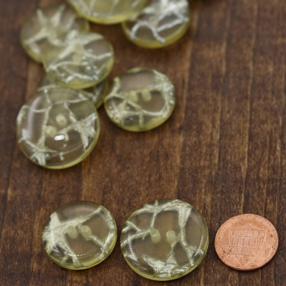 Plastic Button Clear Silver Wiring Two-Hole