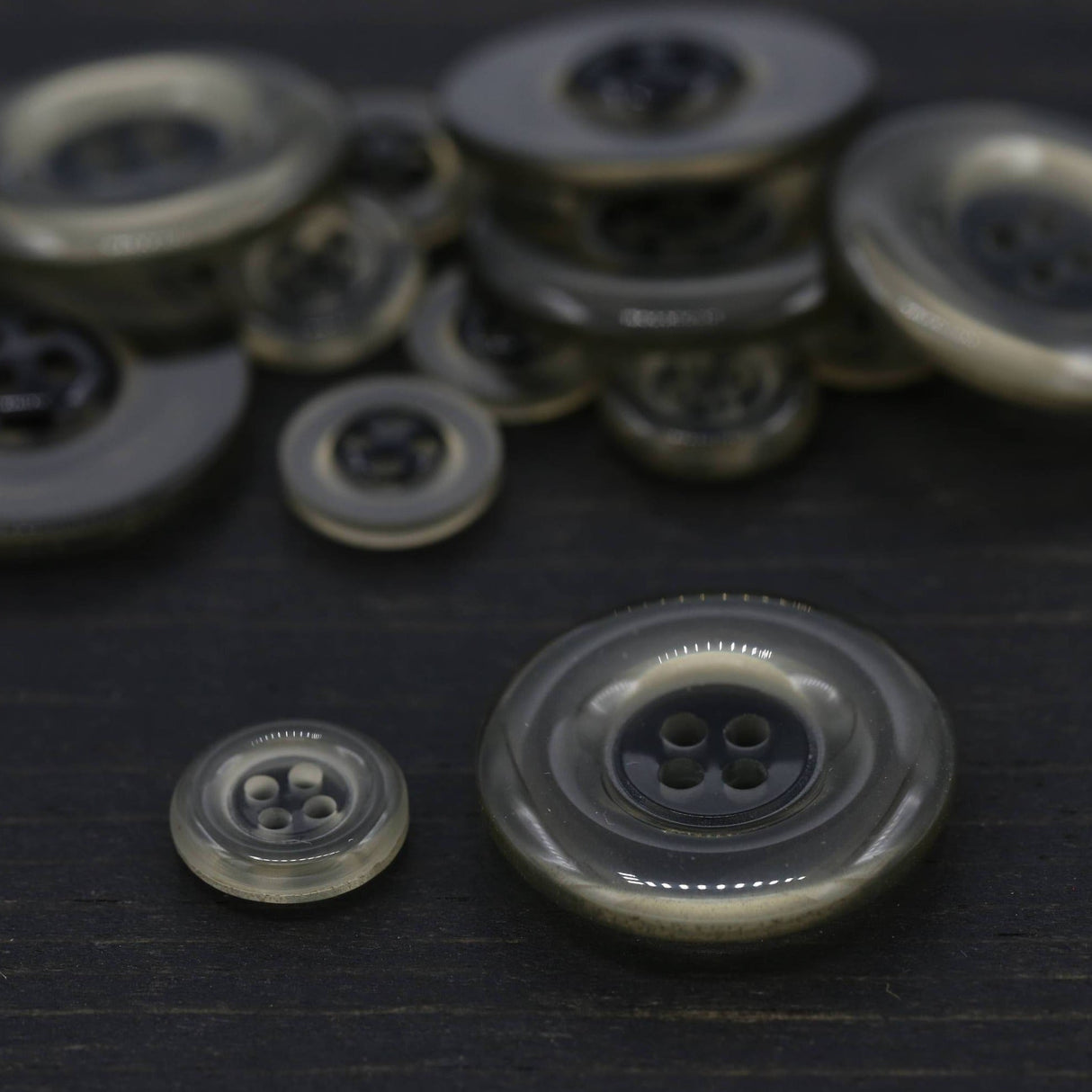 Clear Plastic Button Black Center 18L