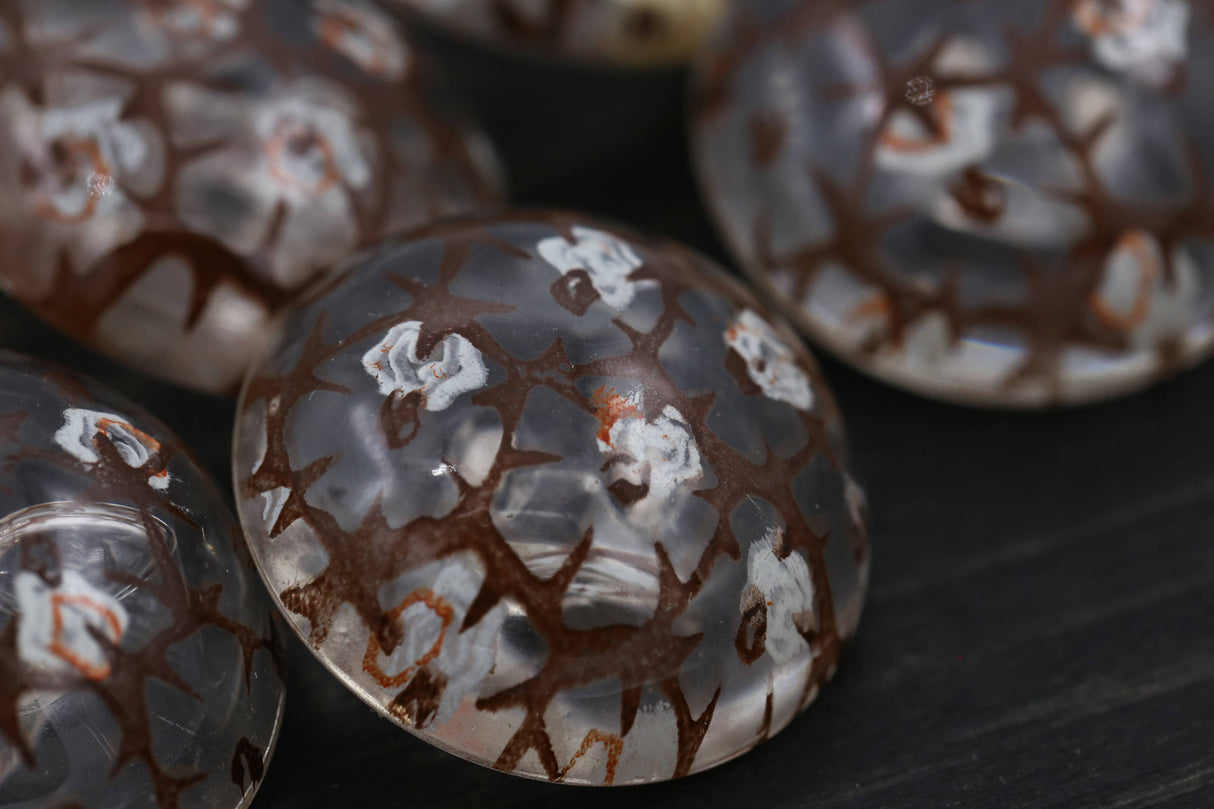 Floral Shank Button Clear Plastic