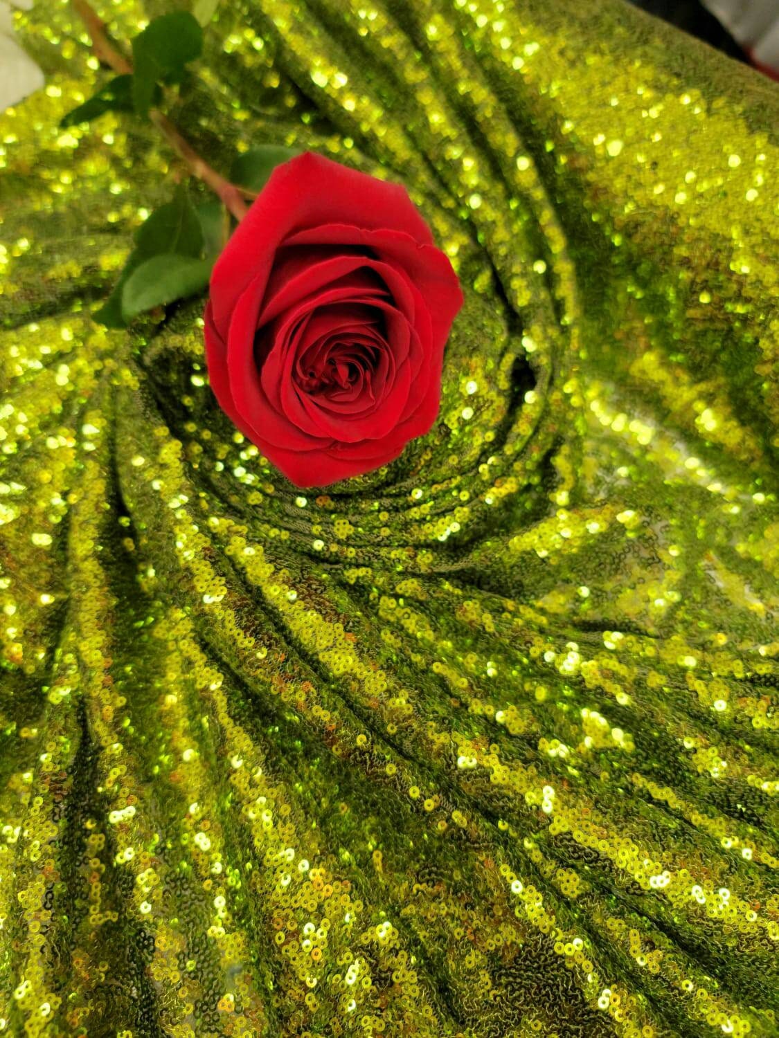 Sequin Mesh Fabric Olive Green