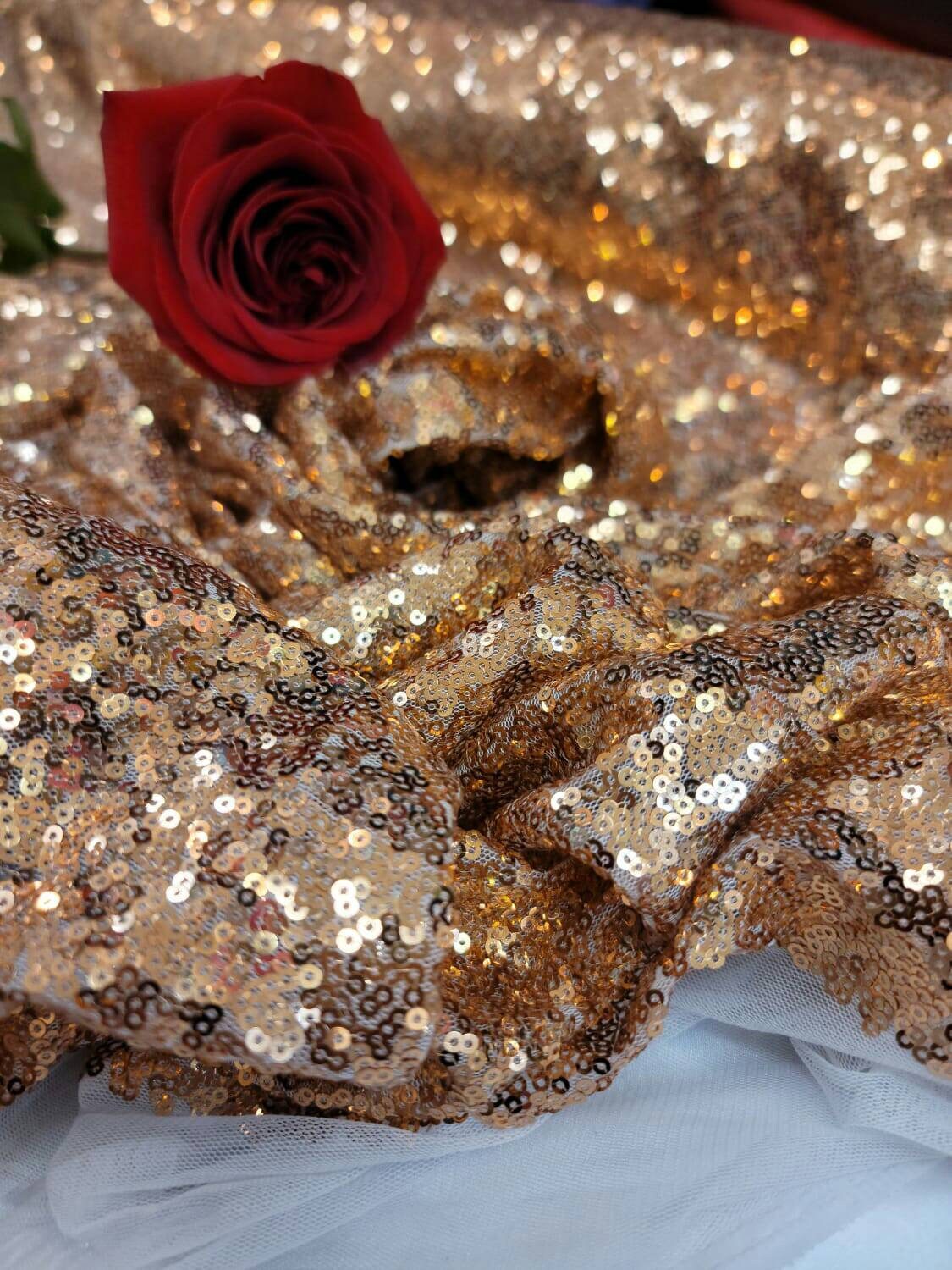 Sequin Mesh Fabric Cooper