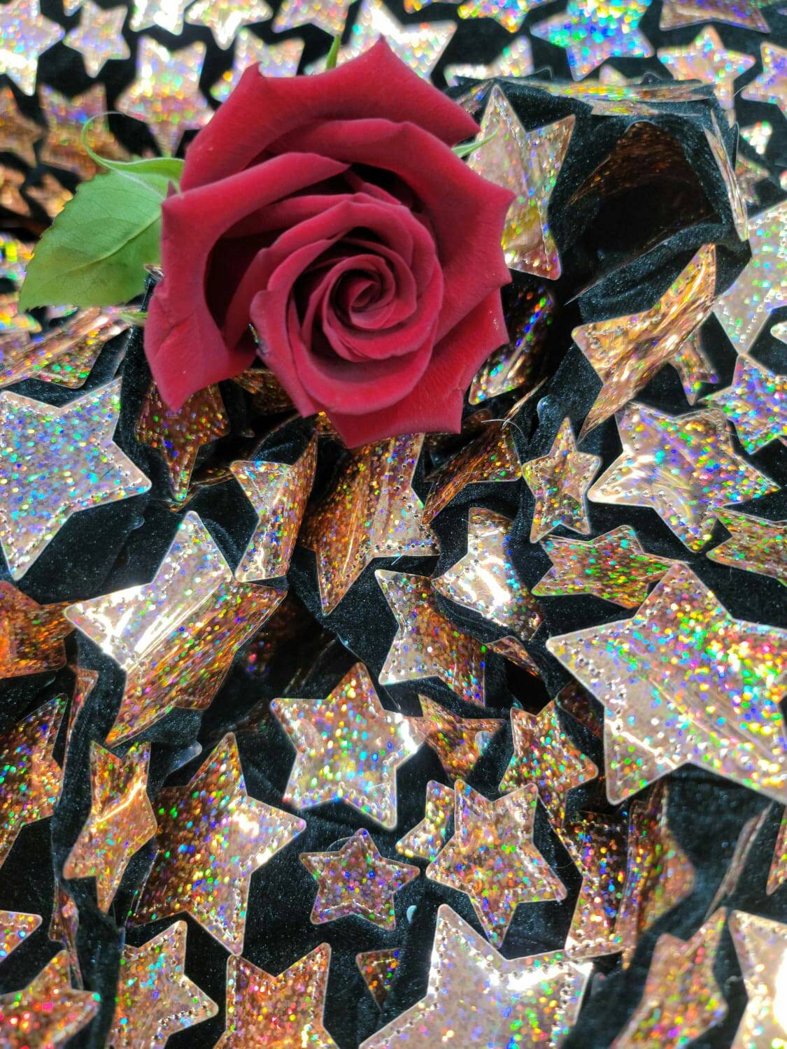 Stretch Velvet Rose Gold Stars on Black