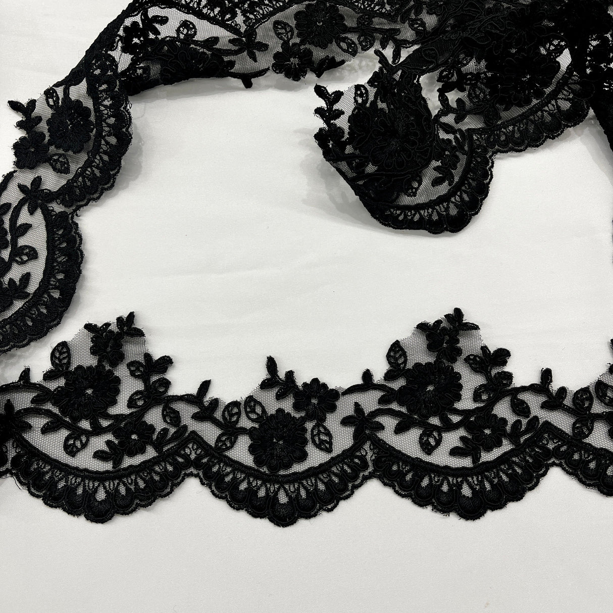 Corded Lace Trimming Embroidered Mesh