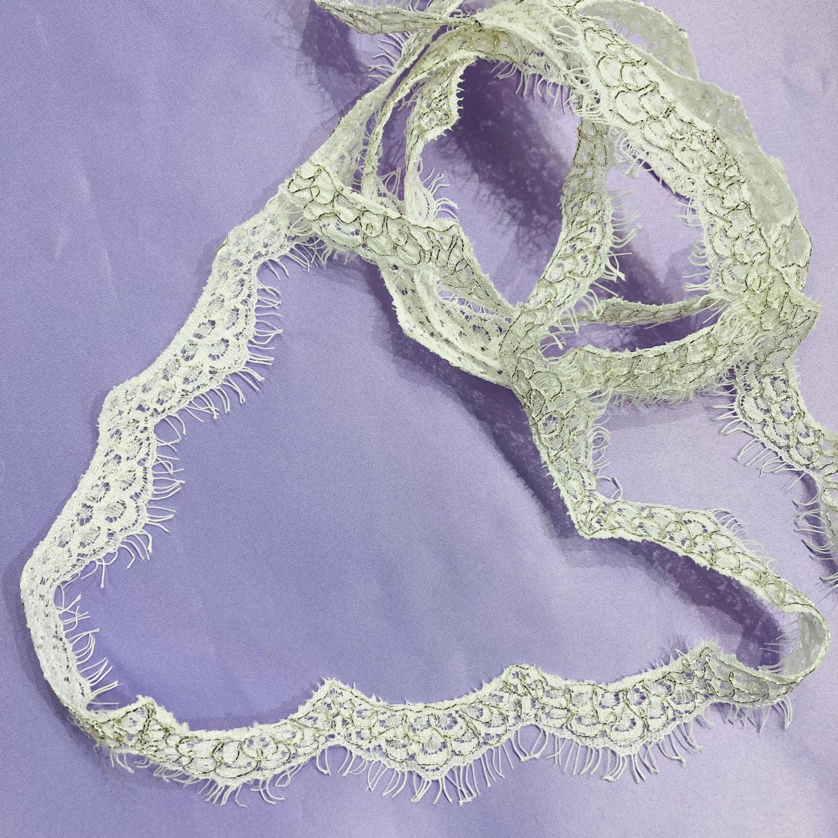 1 Yard Corded Eyelash Lace Trimming on Net Mesh | 1" Wide | Decorative Lace Trim for Bridal, Quinceañera & Formalwear